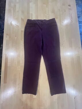 BRIGGS Size 6P Pants